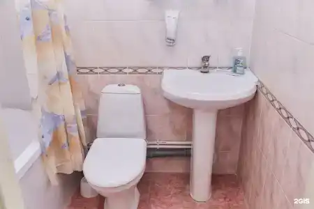 Сосновый бор - 106