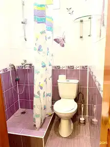 Киви и Цитрус - 108