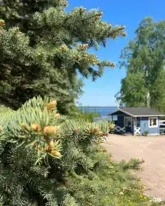 Аквамарин - 7