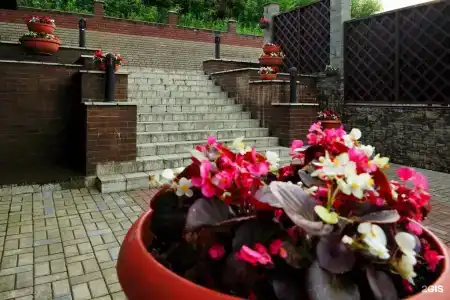 Медведь - 100