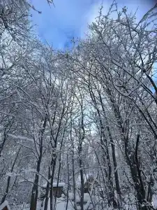 Дача Удача - 86