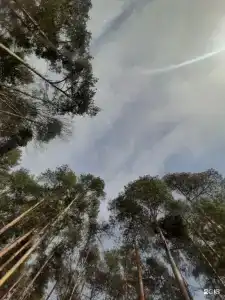Гостевой дом в Визимьярах - 3