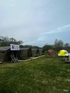 Большие лососи - 6