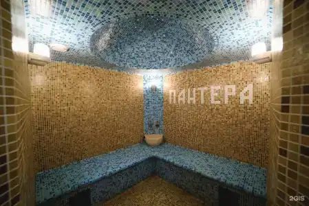Пантера - 7