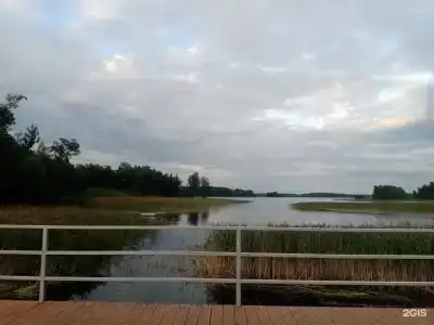 Яркое - 276