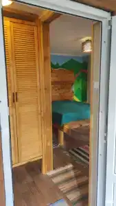 Зелёный Бор - 43