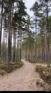 Аквамарин - 2