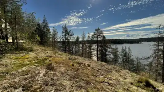 Villy Uley Karelia (Вили Улей Карелия) - 37