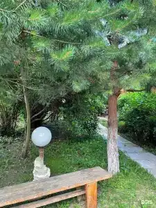 Плетенка-Велегож - 18