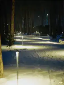 D.O.M. Катунь - 169