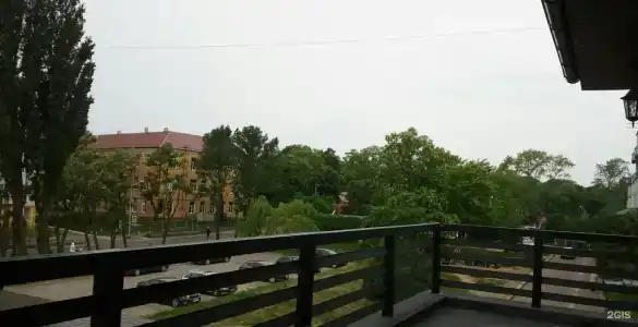 Стрекоза - 19