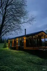 Лис и Лес - 112