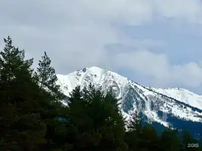 Хвойная долина - 6