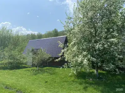 Семейная - 6