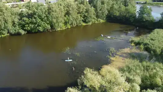 Skandi Белка - 1