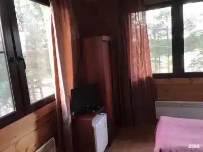 Кица ДСС - 10