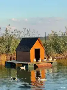 Экопарк Великокняжеский Остров - 11