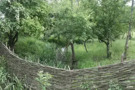Беной Тревел Озеро - 72