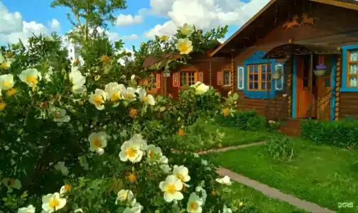 Дивный дворик - 100