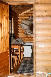 Меличуярви - 104