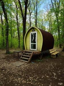 Кемпинг Пискалы - 55