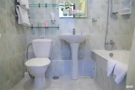 Десна - 235