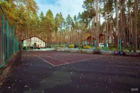 Донской лес - 55