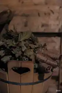 Гнездило-ВО! - 28