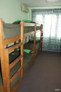 Фикус - 5