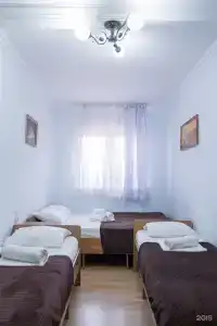 Киви и Цитрус - 109