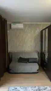 Дельфин - 16
