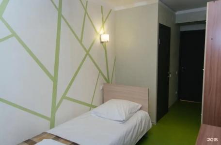 Пушкиногорье - 106