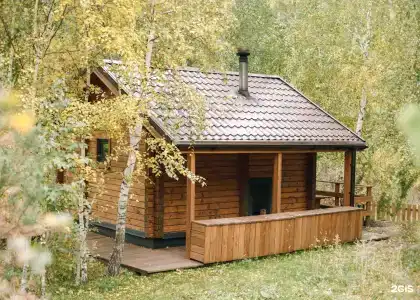 Клевер - 54
