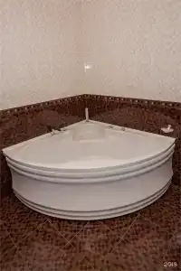 Лотус - 47