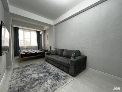 SunDag - 558