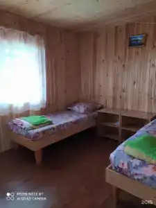 Василёк - 110