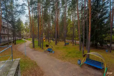 Комарово - 8
