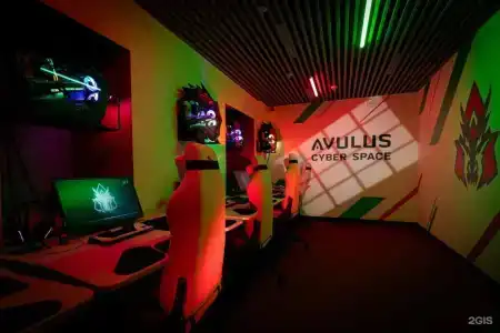 Avulus Cyber - 1