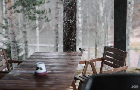 Forrest Lodge Karelia - 65