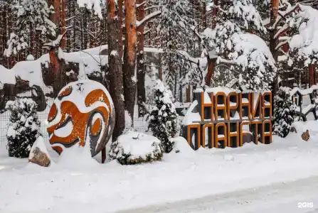 Narnia Planet & Spa - 28