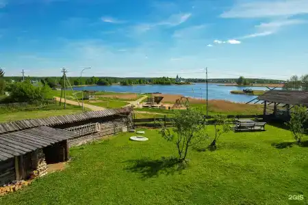 Медведь - 94