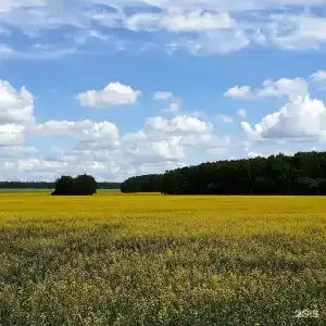 Теплый хутор - 74