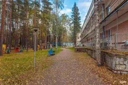 Комарово - 7
