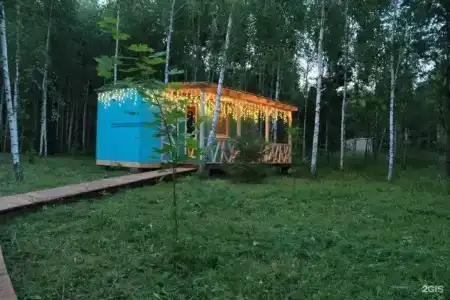 Лесной сон - 88