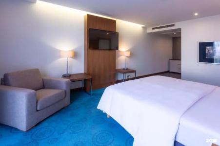 Radisson Blu Hotel - 107