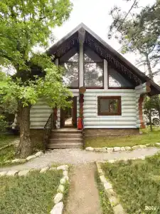 Лес и Море - 0