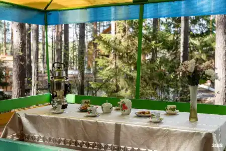 Заимка Ё-моЁ - 231