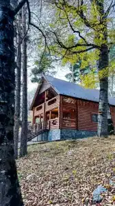 База отдыха Paradise Forest - 2