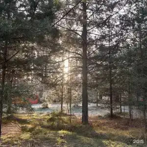 Экопарк Дар - 57