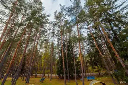 Комарово - 4